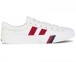 White Keds Royal Plus Canvas Sneakers | 3824-JTSCR