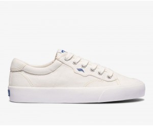 White Keds x Organic Cotton Crew Kick 75 Sneakers | 0961-ZNMXS