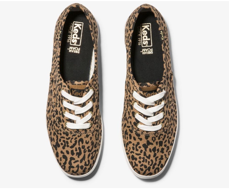 Brown Keds Washable Champion Animal Sneakers | 7159-WPQUC