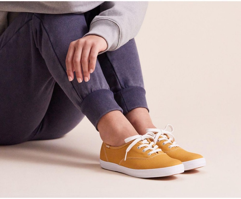 Gold Keds x Organic Cotton Washable Champion Sneakers | 0164-NVAUF