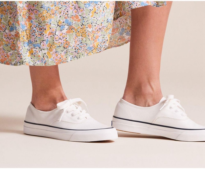 White Keds x Organic Cotton Surfer Sneakers | 3076-CXBTI